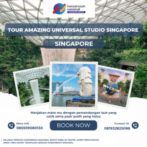 Tour Amazing Universal Studio Singapore 3D2N